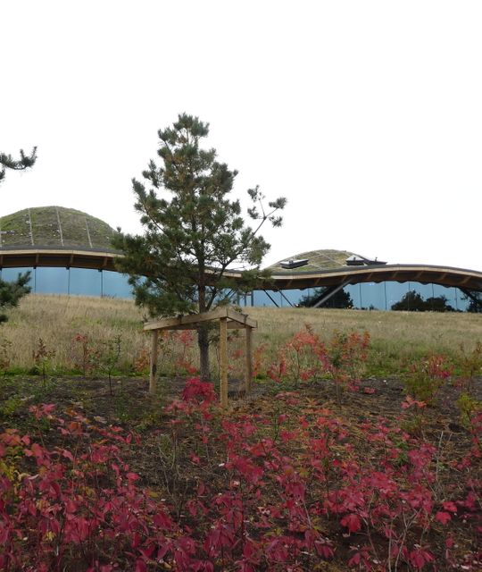 Fotoboeken voor het goede doel