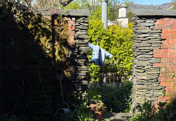 Peter Rabbit in Lake District