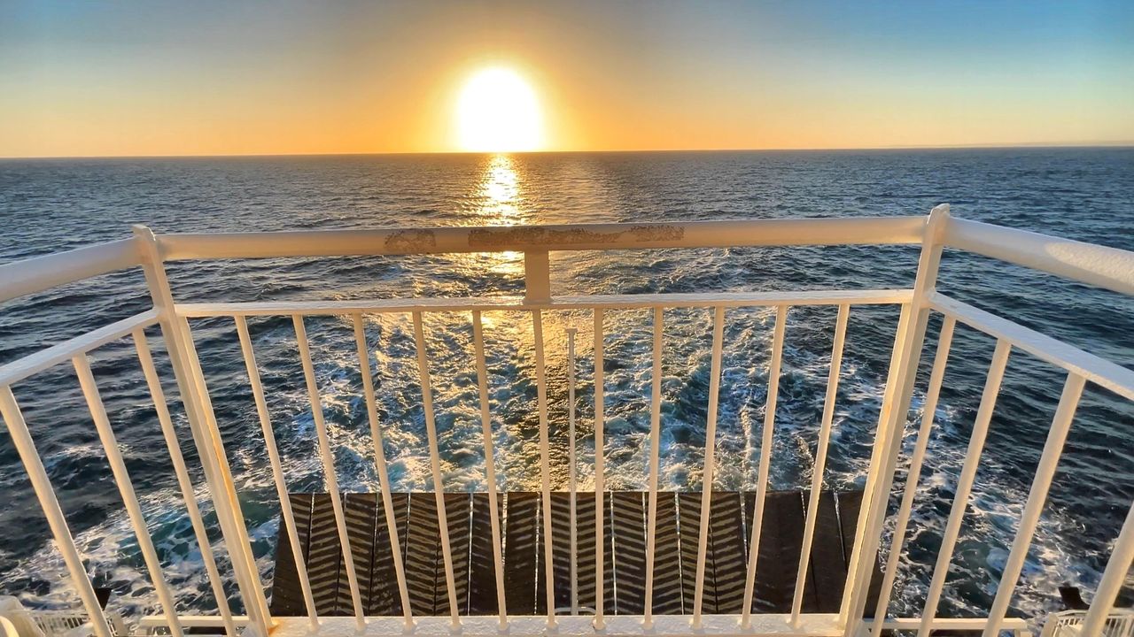 DFDS ferry op de Noordzee bij zonsondergang