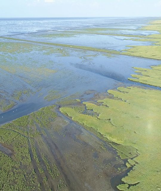 Rondreizen Nederland