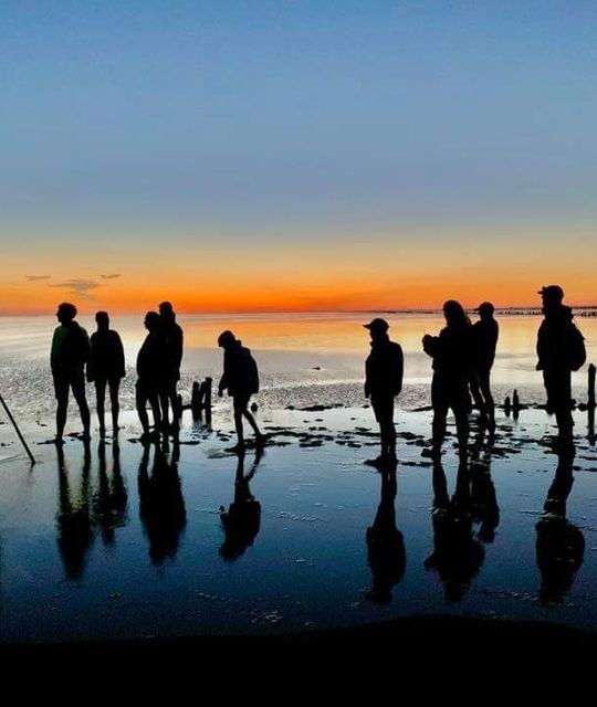 Rondreizen Nederland