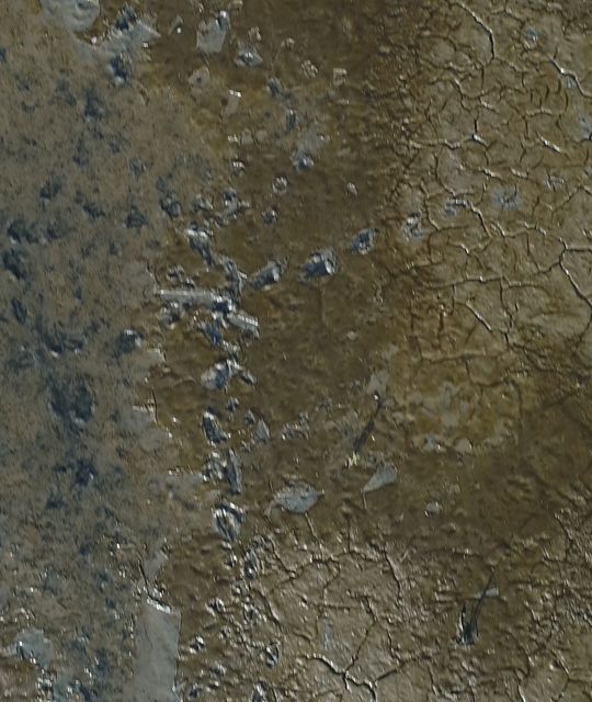 Rondreizen Nederland