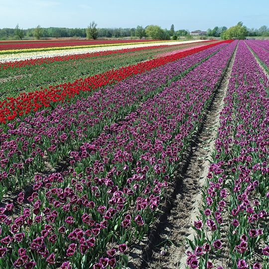 Rondreizen Nederland