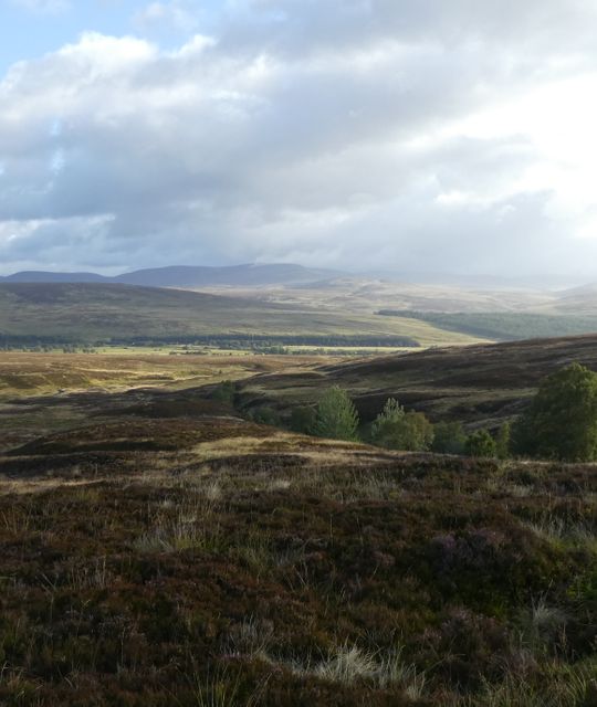 Fotoboeken voor het goede doel