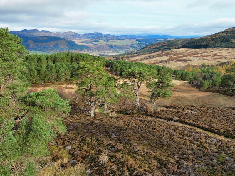 Natuur Schotland
