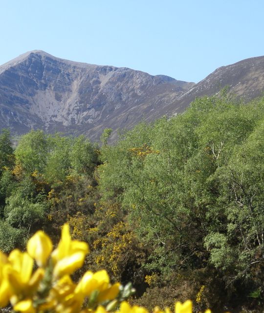 Schotland met de boot