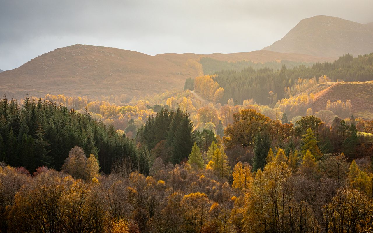 De Schotse Highlands in herfstkleuren