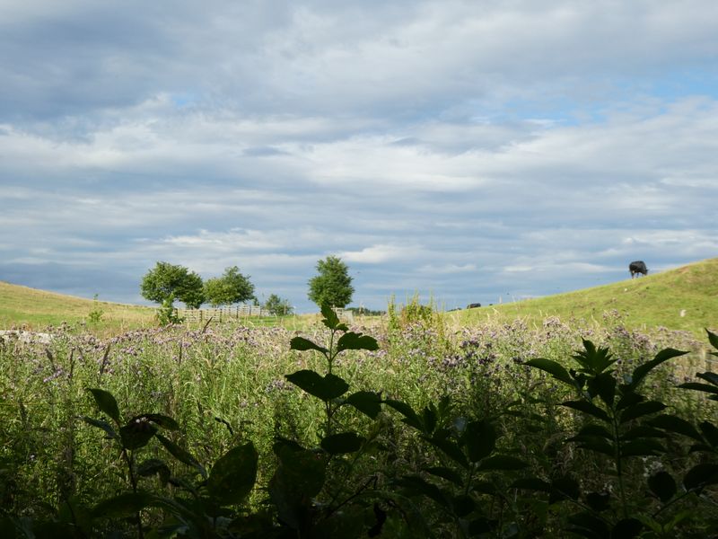 The 4 Counties of South England