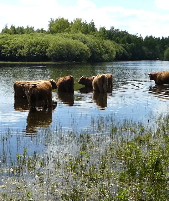 Whisky weekend Nederland