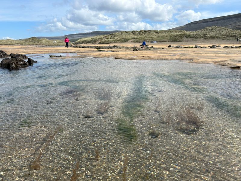 Ierland op maat | vliegen