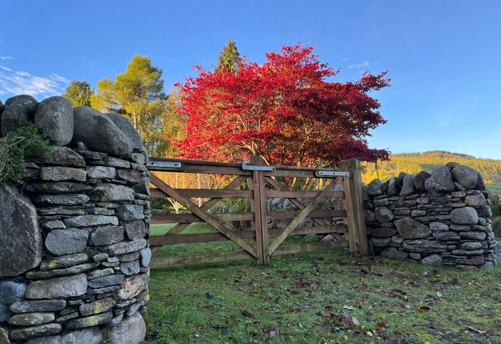 Rondreis Schotland 14 Dagen