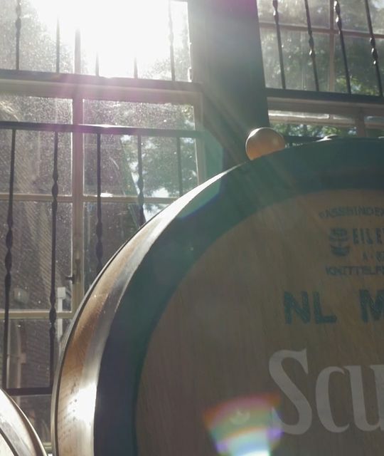 Rondreizen Nederland