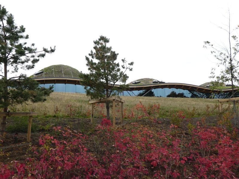 The Macallan Edition series