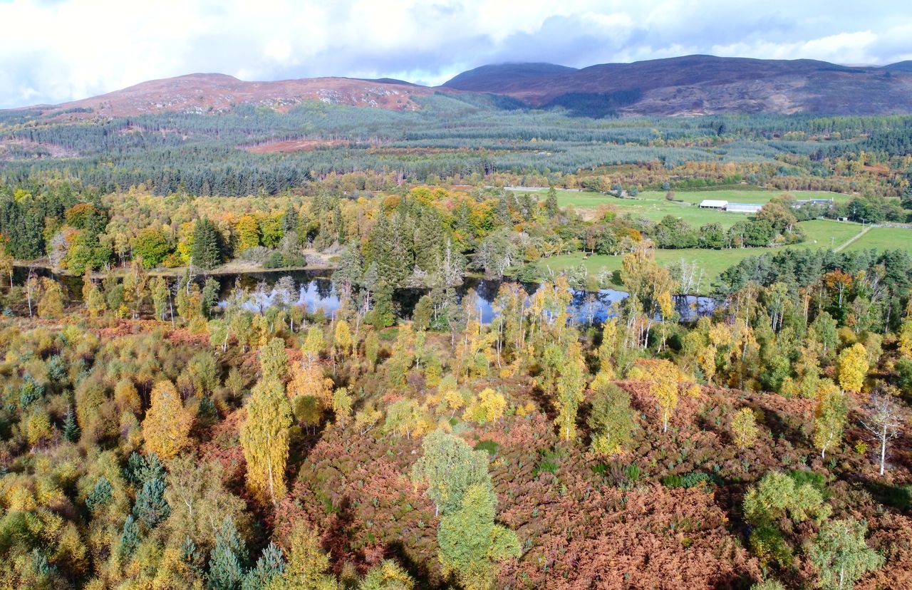Weg door de Scottish Borders met groene heuvels