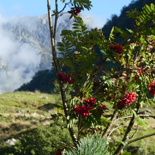 Autovakantie Noorwegen 