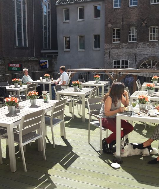 Rondreizen Nederland