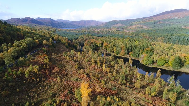 Best nature in Scotland by Boat