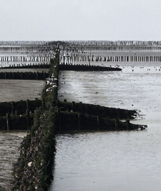 Rondreizen Nederland