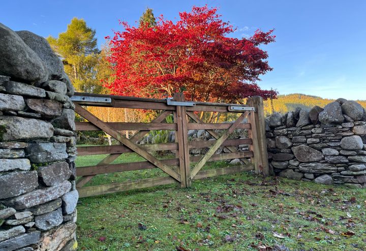 Schotland op maat | vliegen