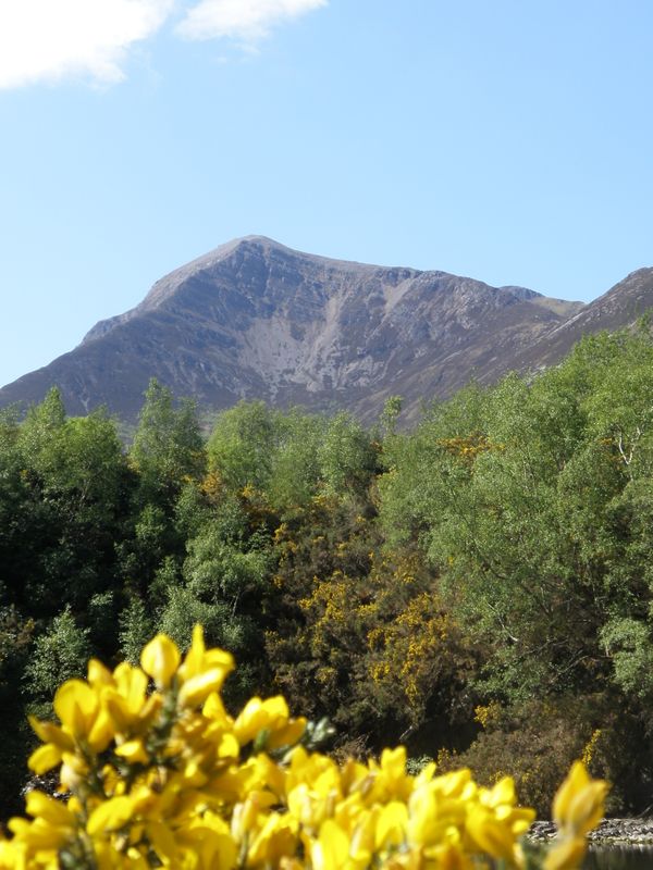 A FULL week Harry Potter