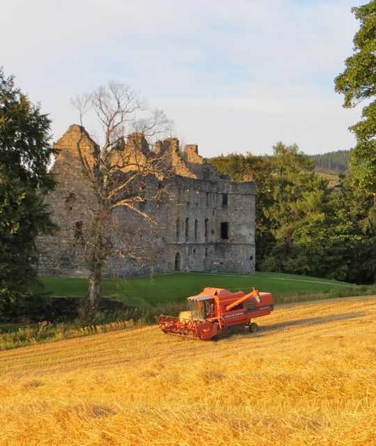 Whisky reizen Schotland