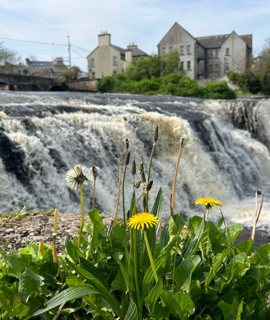 Vakantie Ierland zelf samenstellen