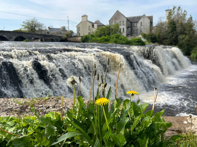 Ierland op maat | vliegen