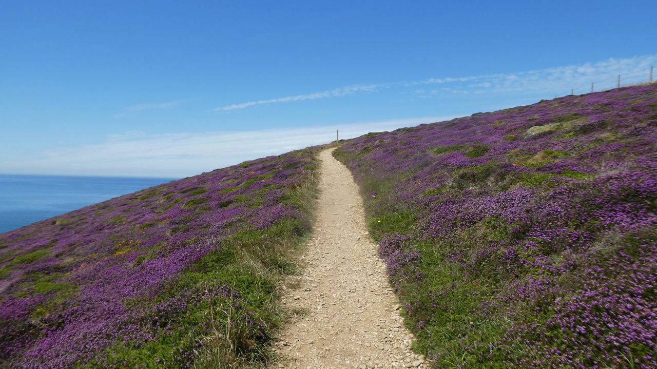 Heidevlaktes langs Zuidkust Cornwall, Engeland