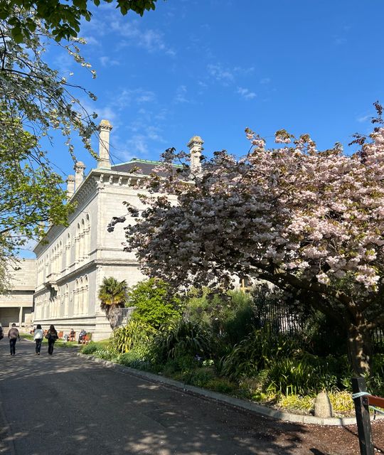 Whiskey tour Ierland