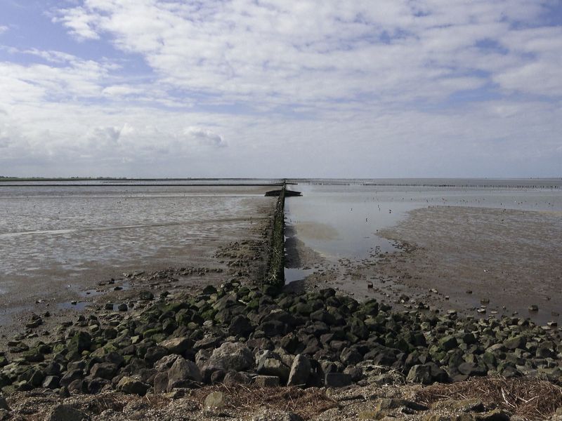 Op de Wadden