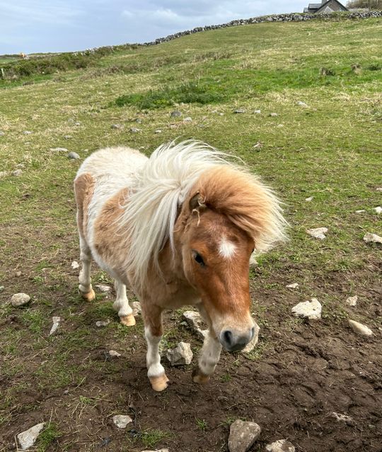 Vakantie Ierland zelf samenstellen