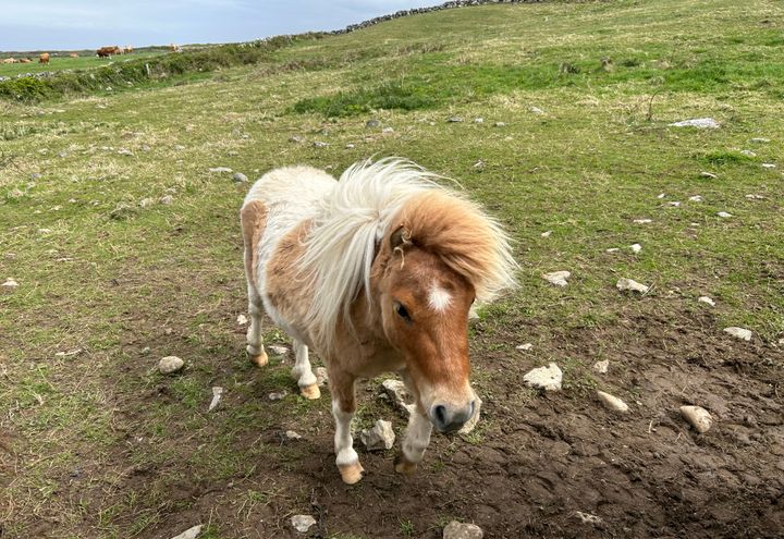 Ierland op maat | vliegen