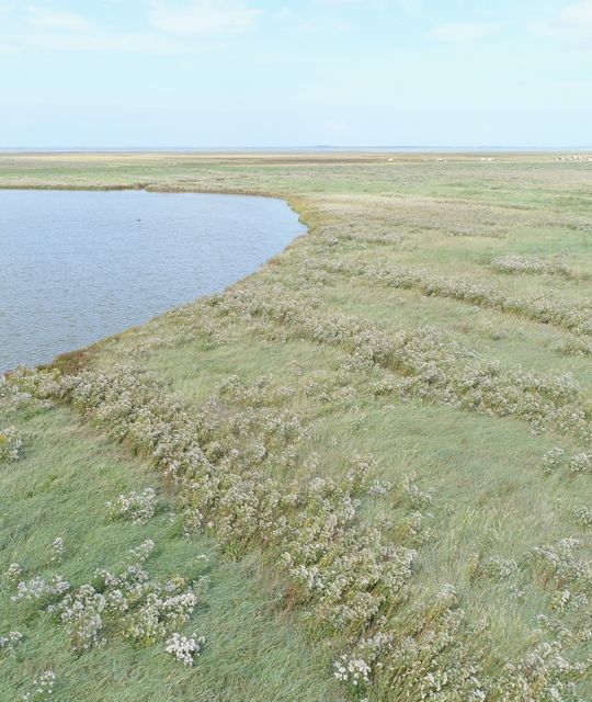 Rondreizen Nederland