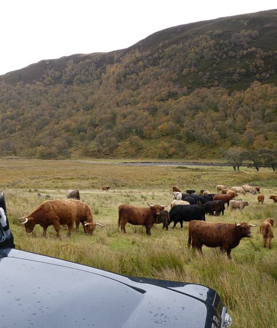 Whisky reizen Schotland