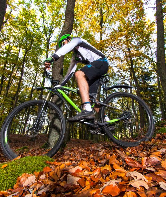 Rondreizen Nederland