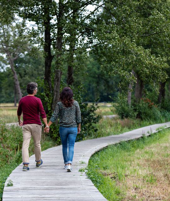 Rondreizen Nederland