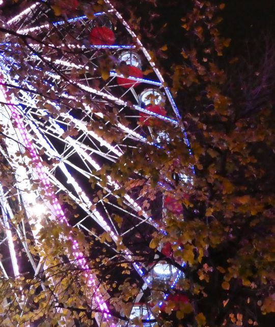 Whisky reizen Schotland