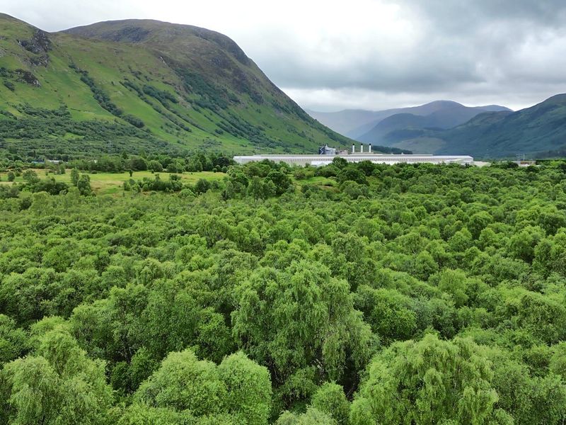 Natuur Schotland