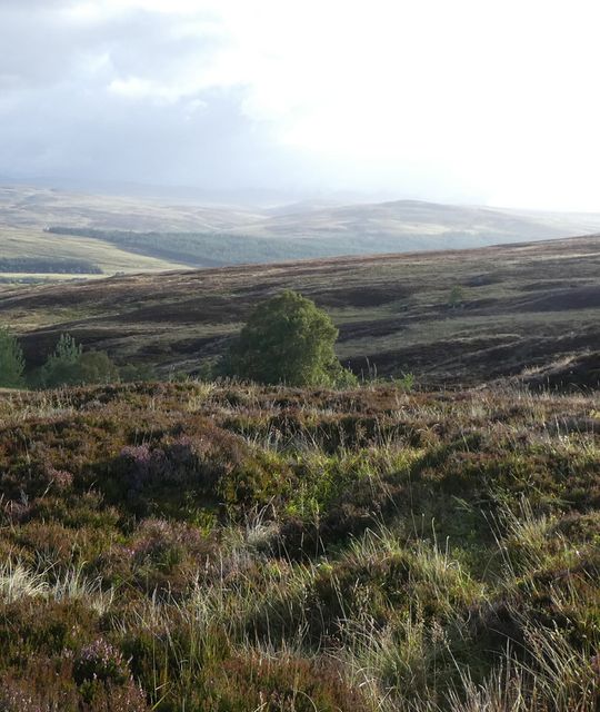 Whisky reizen Schotland