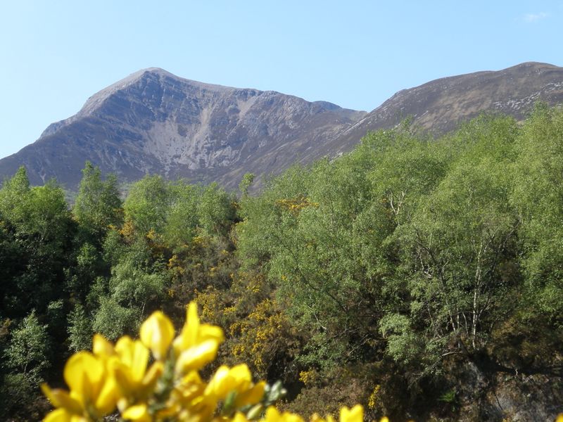 De Schotse Hooglanden - The Highlands