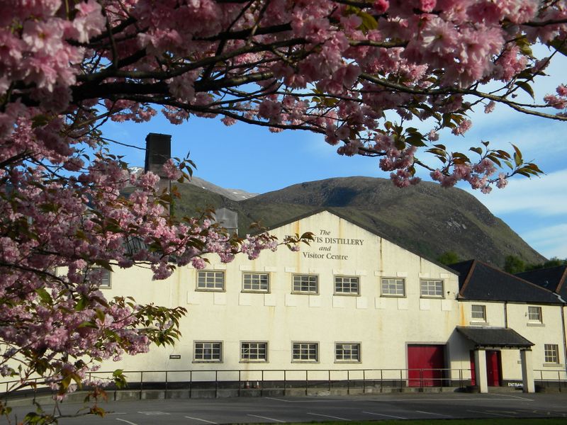 A FULL week Harry Potter