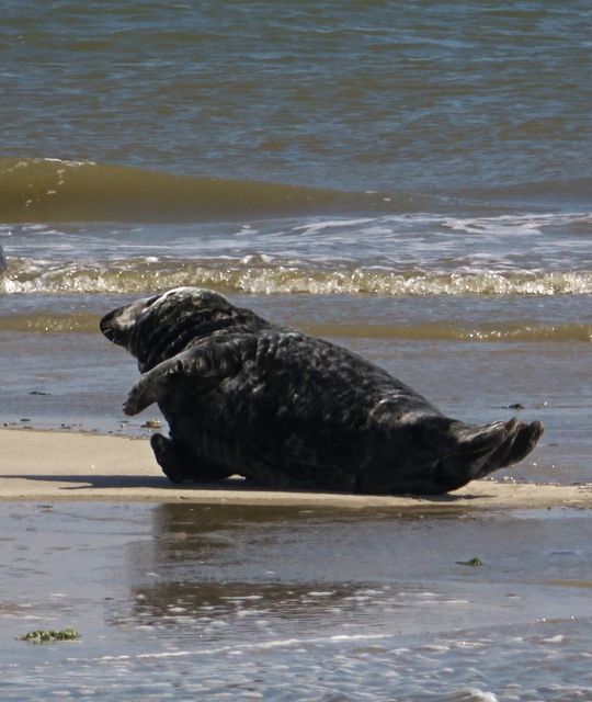 Rondreizen Nederland