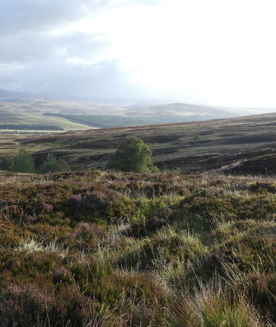 Schotland met de boot